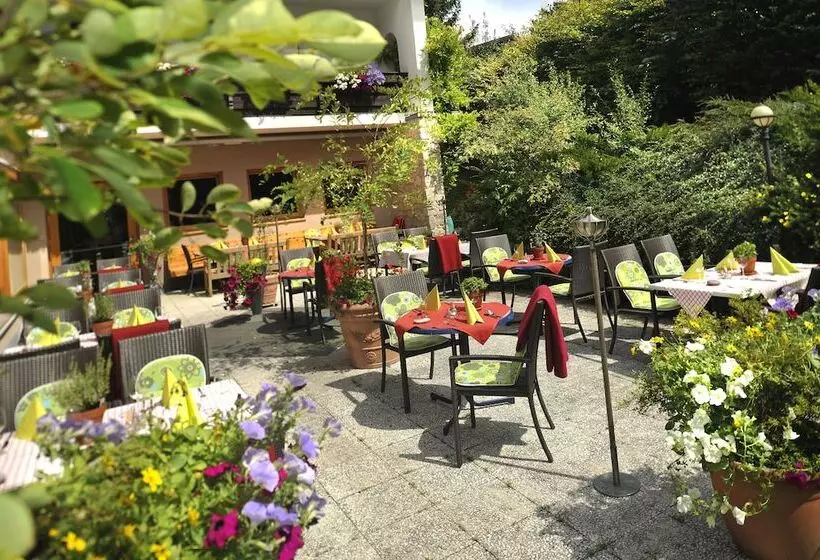 Отель Maximilian