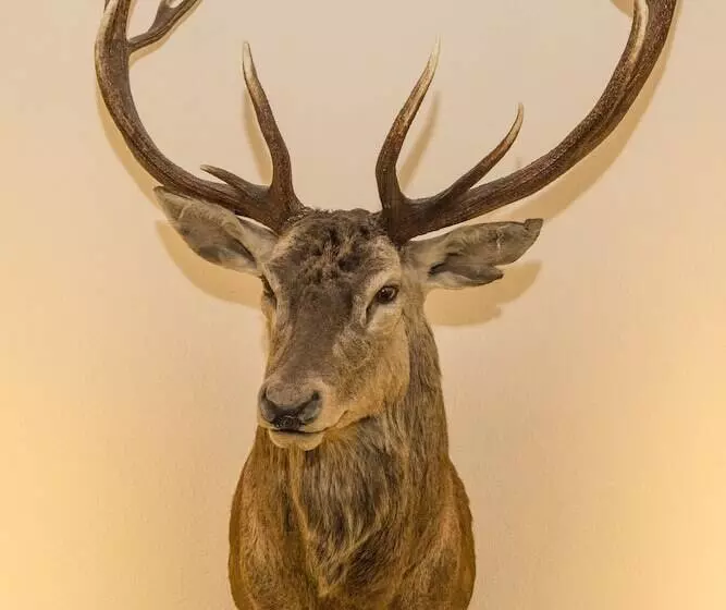 هتل Princess Bergfrieden