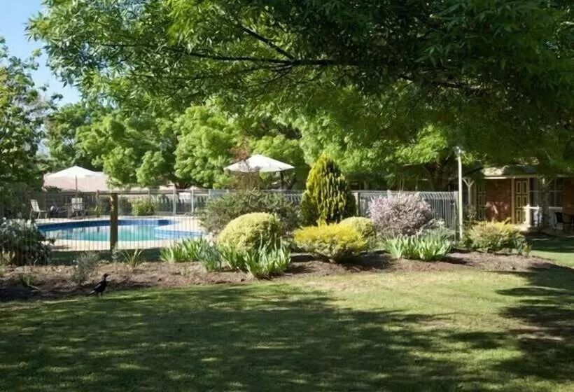 מוטל Mansfield Valley Motor Inn