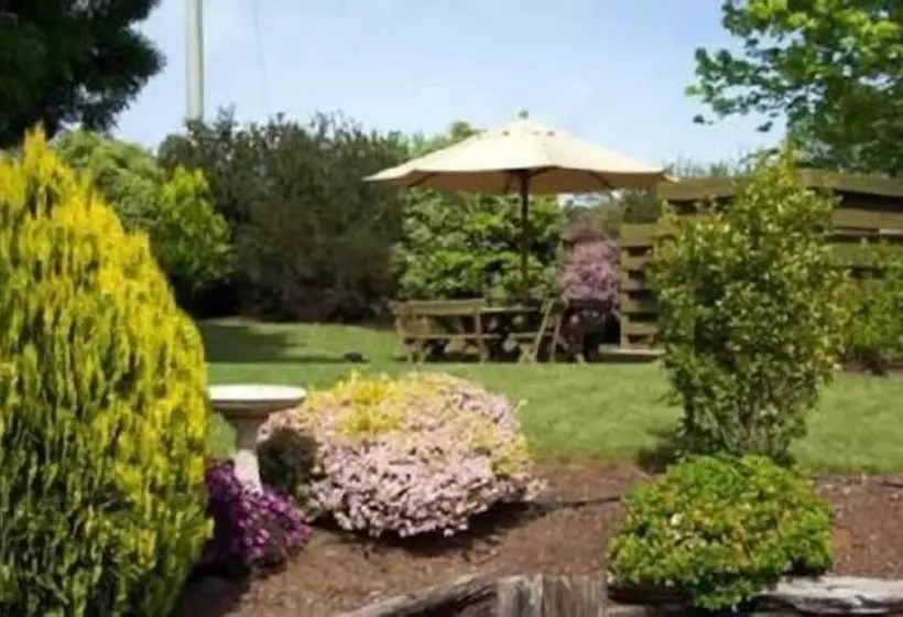 מוטל Mansfield Valley Motor Inn