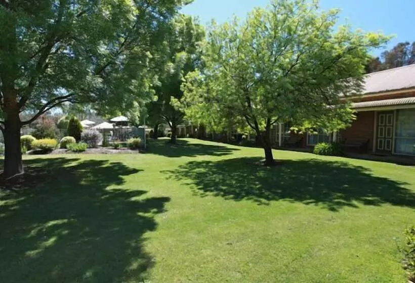 מוטל Mansfield Valley Motor Inn