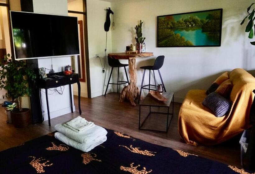 Bed and Breakfast Jungle Stay In A Hidden Paradise