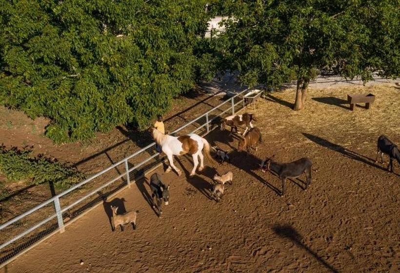 ホテル Agriturismo Dea Cerere