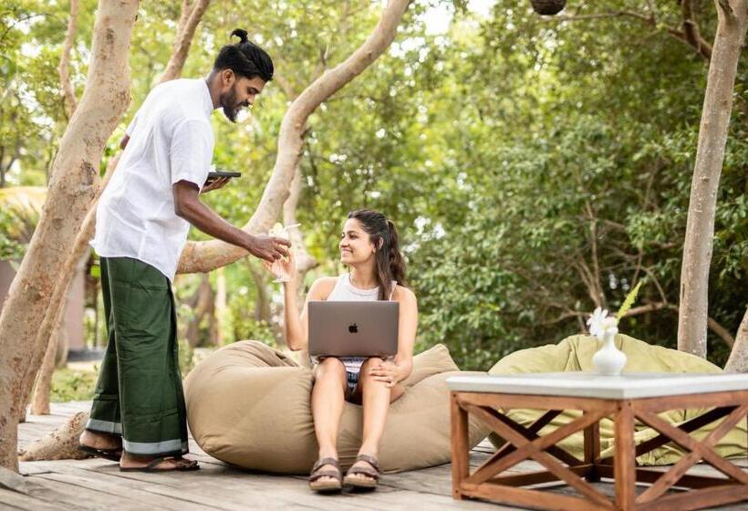 酒店 Club Mango Resort