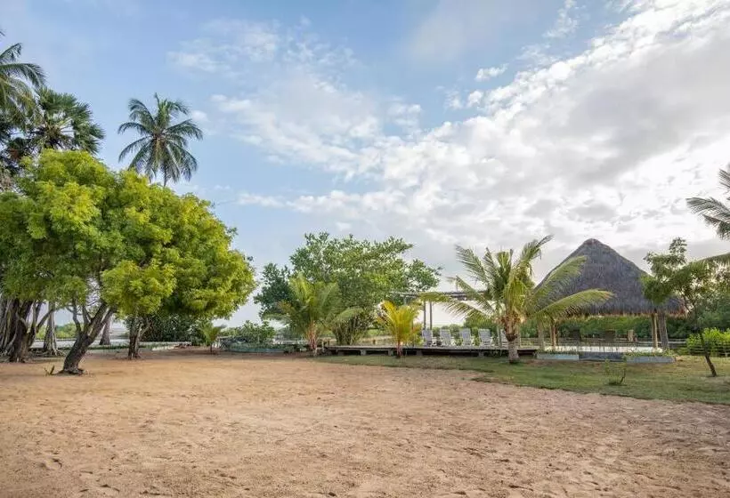 هتل Club Mango Resort