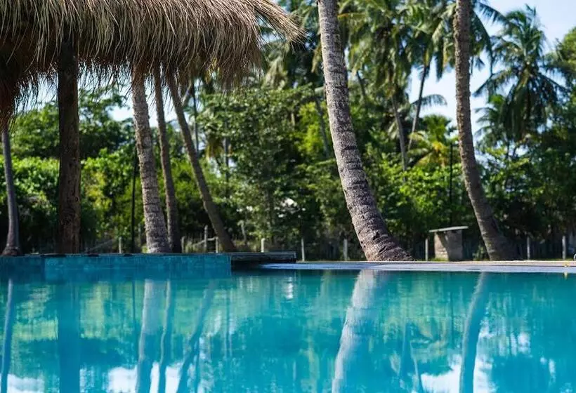 هتل Club Mango Resort