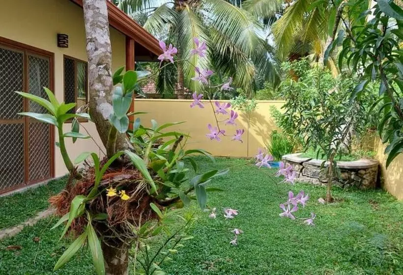 پانسیون El Nivasa Villa In Weligama