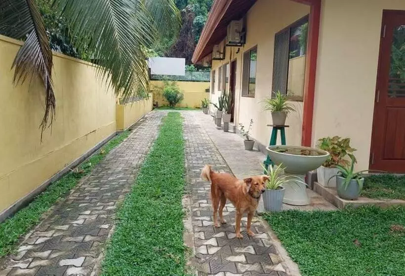 پانسیون El Nivasa Villa In Weligama