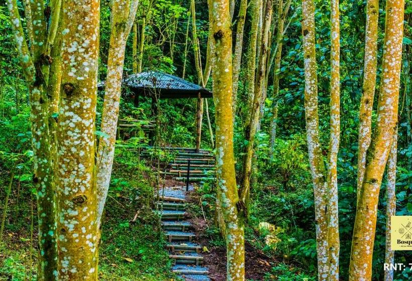 Отель Bosques De La Pradera