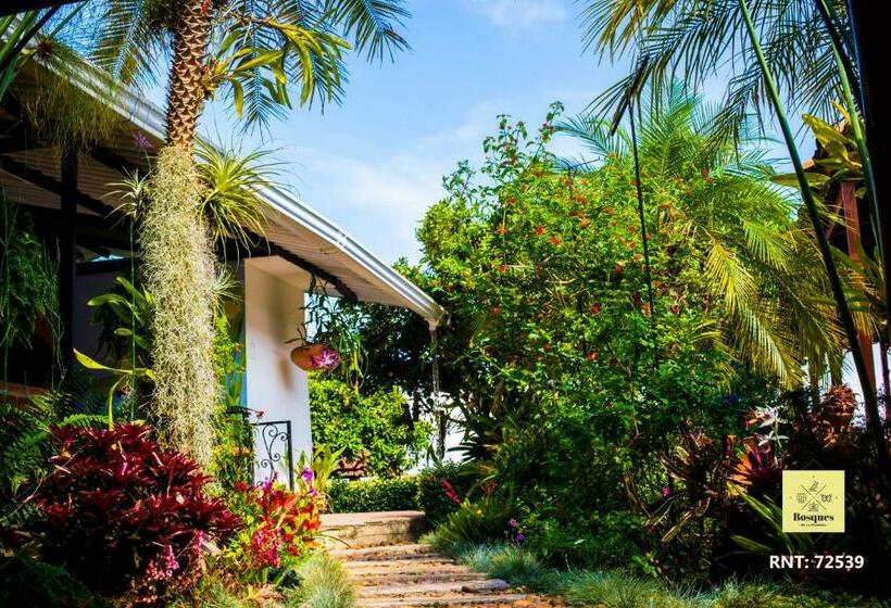 Отель Bosques De La Pradera