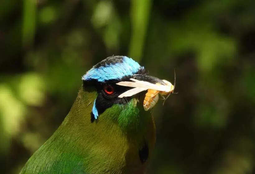 ホテル Bosques De La Pradera