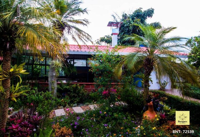 Отель Bosques De La Pradera