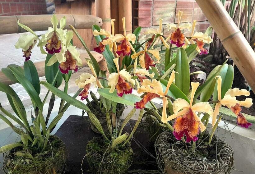 Отель Bosques De La Pradera