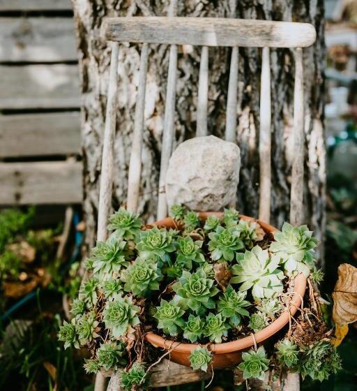 Пансион Peintnerhof Appartments & Zimmer