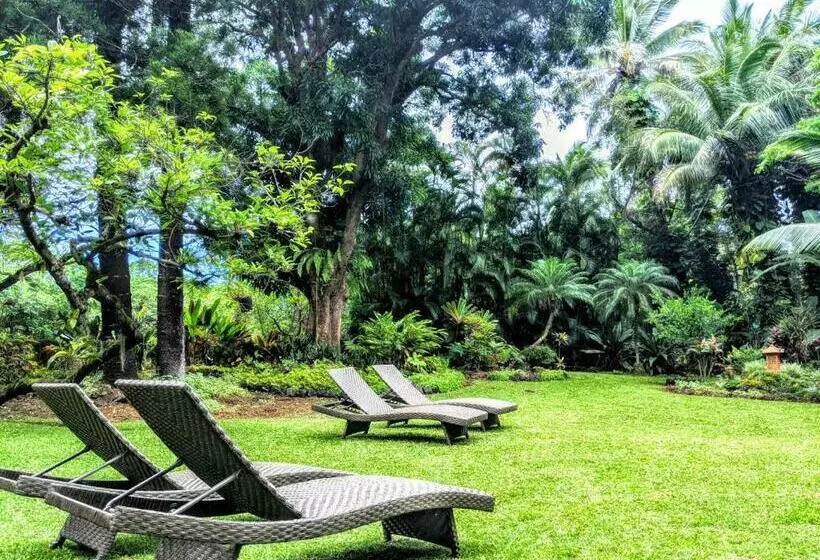 Aamiaismajoitus (B&B) Kehena Mauka Nui Club Lgbtqia+ Clothing Optional