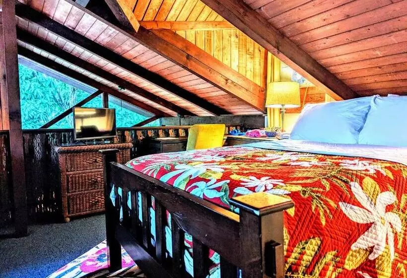 Aamiaismajoitus (B&B) Kehena Mauka Nui Club Lgbtqia+ Clothing Optional