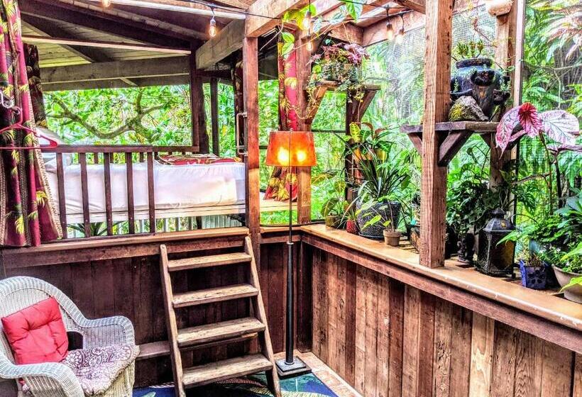 민박 Kehena Mauka Nui Club Lgbtqia+ Clothing Optional