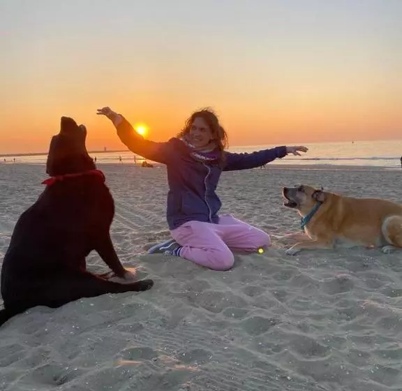 ベッドアンドブレックファースト Tiny Beachhouse