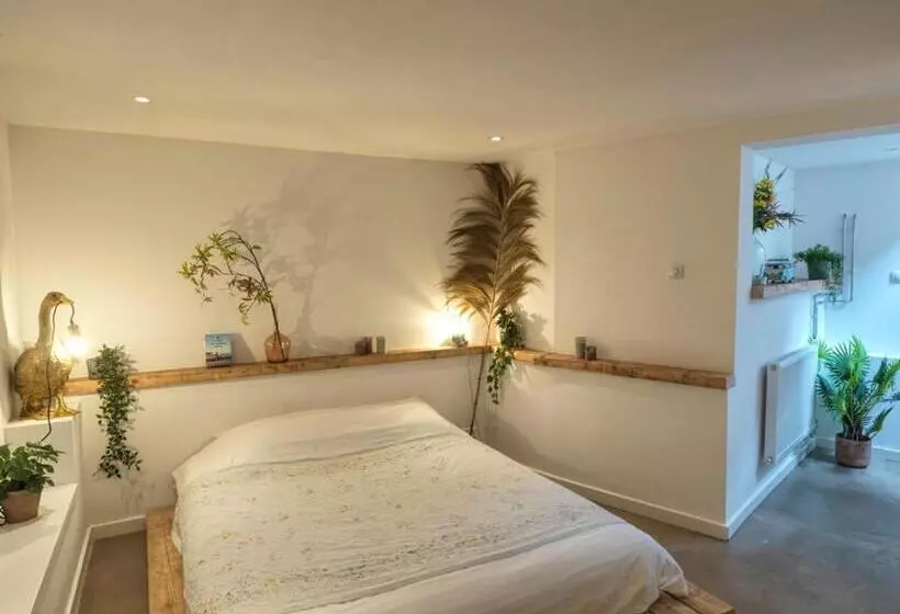 ベッドアンドブレックファースト Tiny Beachhouse