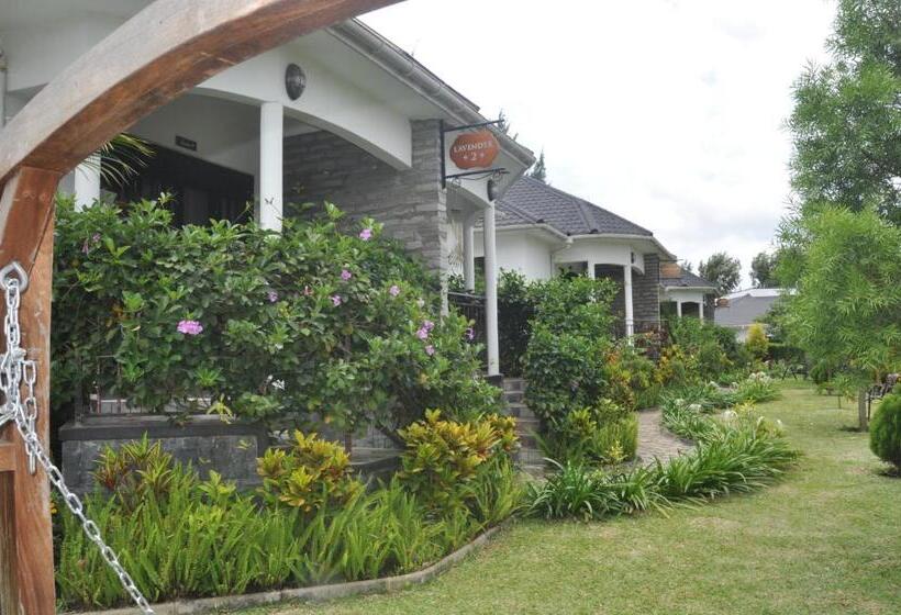 Home Bliss Hotel Fort Portal Uganda