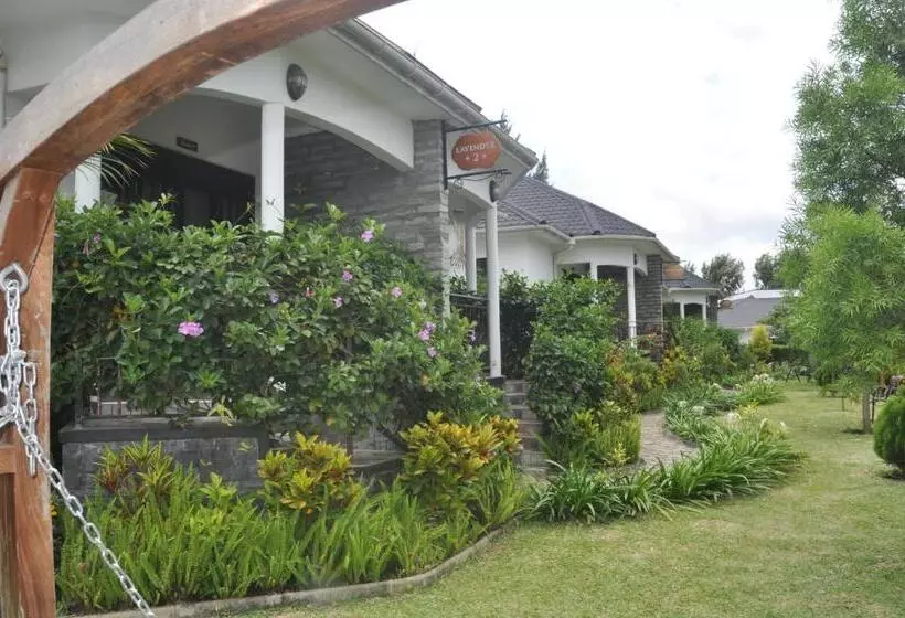 Home Bliss Hotel  Fort Portal Uganda