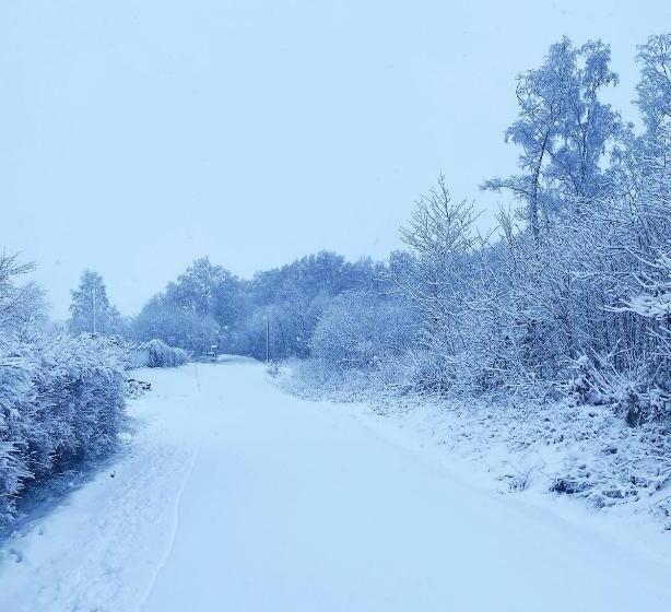 Killeröd Boutique Apartments