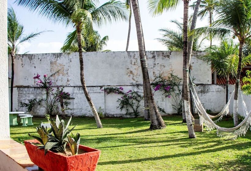 Gato Do Mato Hostel & Kitepoint