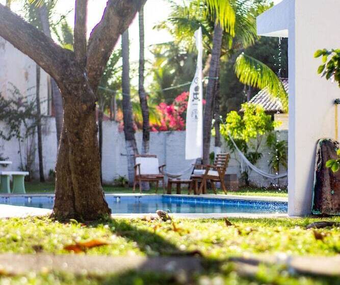 Gato Do Mato Hostel & Kitepoint