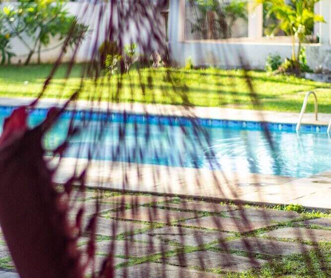 Gato Do Mato Hostel & Kitepoint