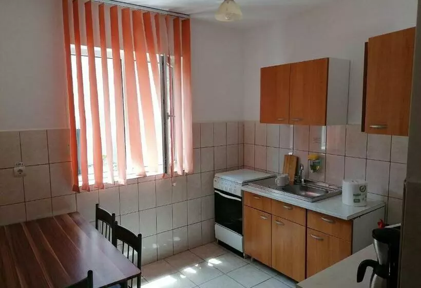 هاستل Dms Family House