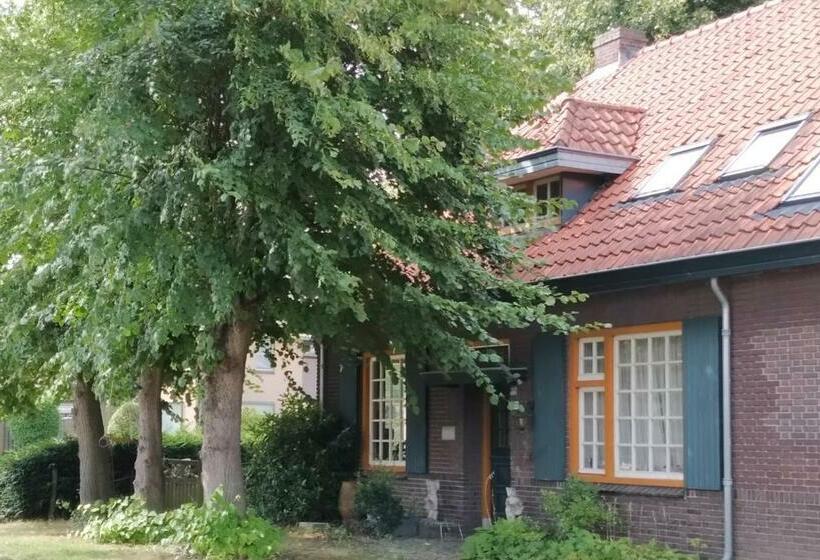 B&b Bij Bijnen