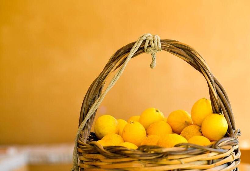 تختخواب و صبحانه Luccicamare Family Run Beb