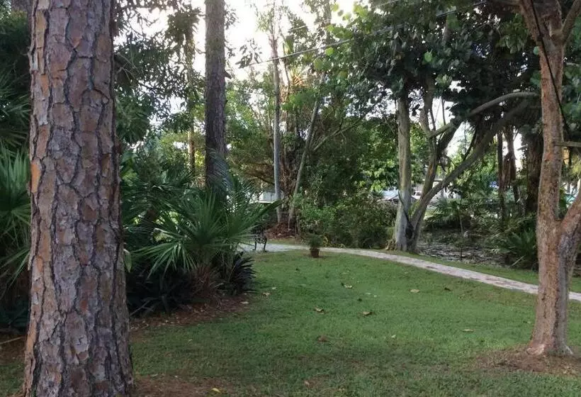 Aamiaismajoitus (B&B) La Quiete Cove For One