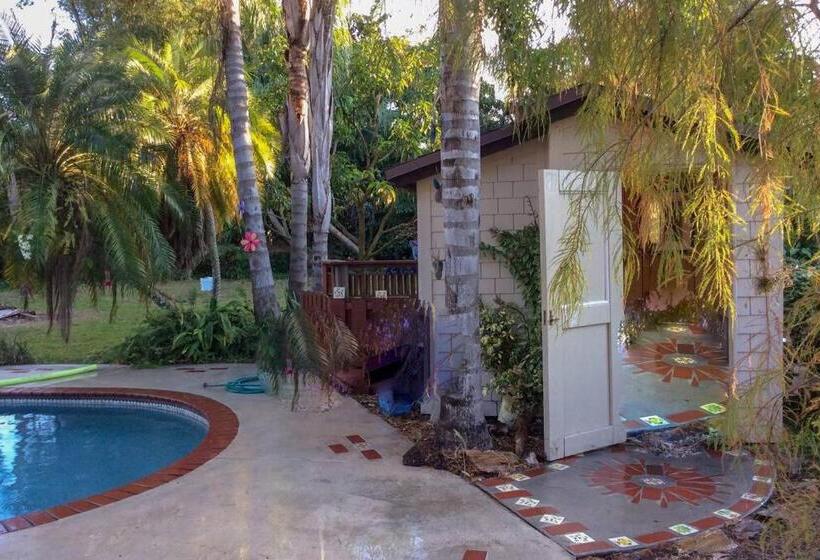 مبيت وإفطار La Quiete Cove For One