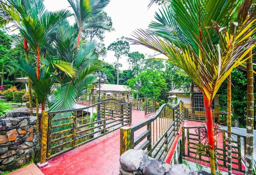 Hotel Spot On 89954 D Yan Chalet