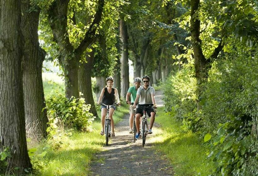 Albergue Gasthaus Straub