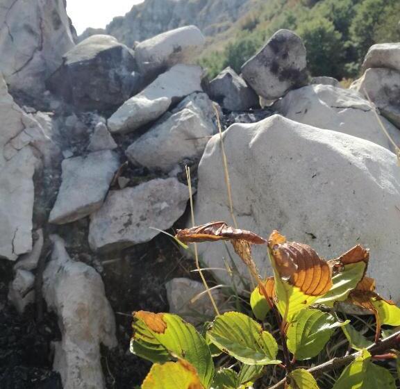 ベッドアンドブレックファースト Antico Borgo