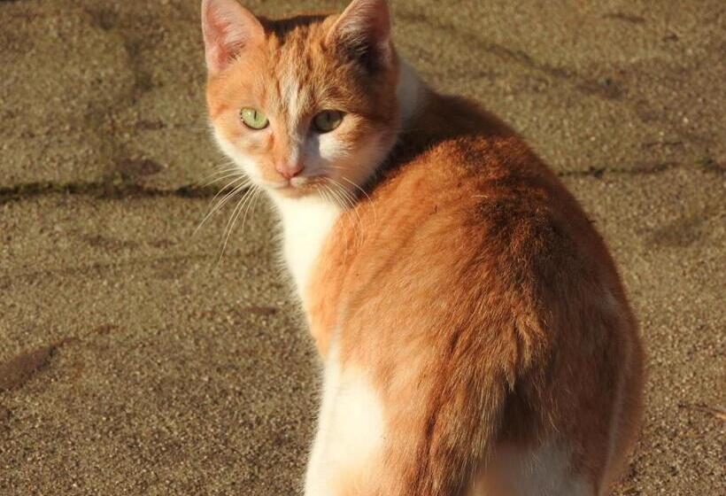 Bed and Breakfast Domaine De Laverchère