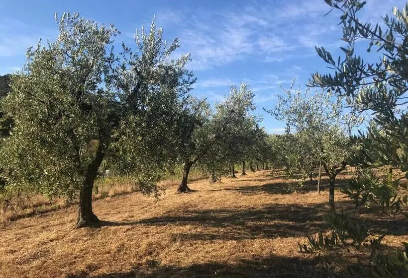 ベッドアンドブレックファースト Il Podere La Casina