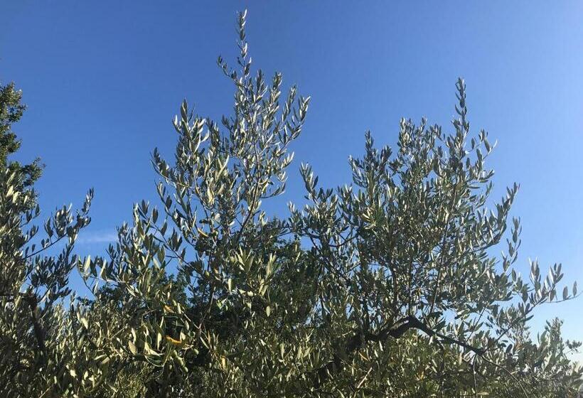 צימר Il Podere La Casina