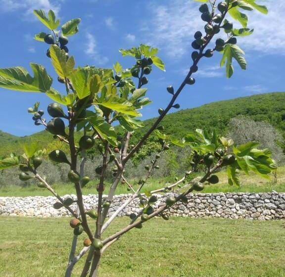 Bed and Breakfast Poggio Del Sole