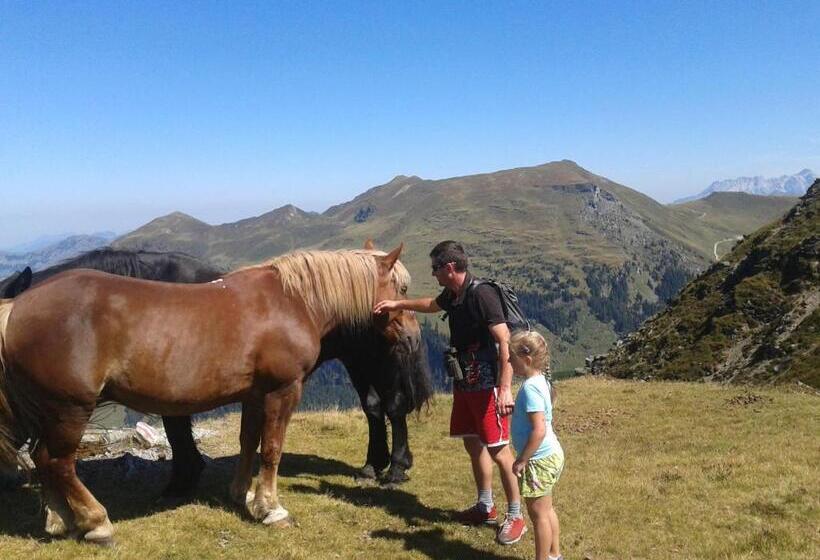 호텔 Biohof Vorderreith