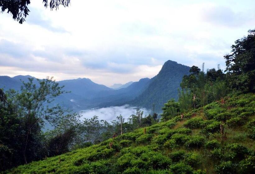 Hotel Breeta S Garden