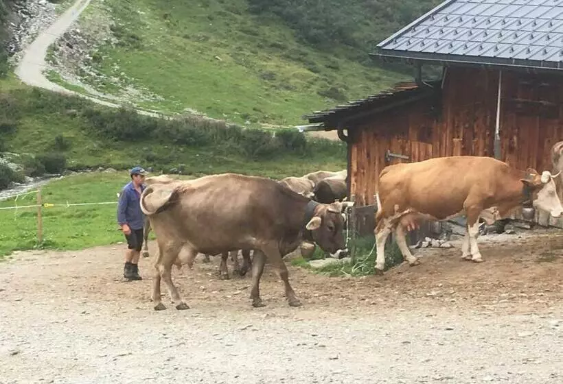 ペンション Zani Helga