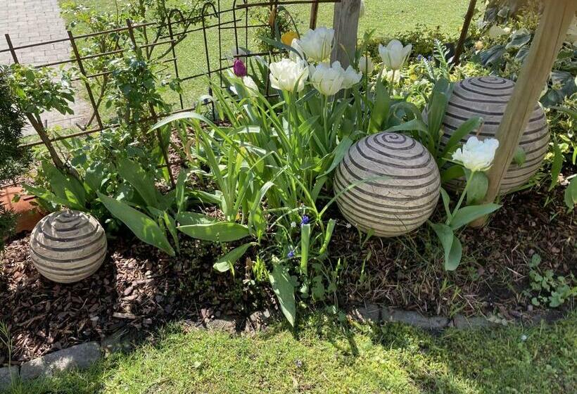 פנסיון Zani Helga