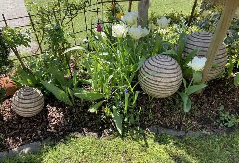 ペンション Zani Helga