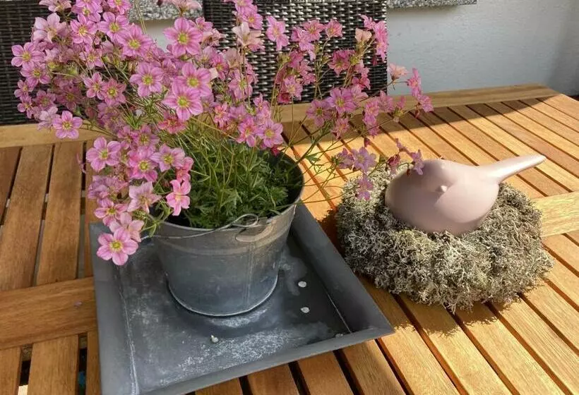 ペンション Zani Helga