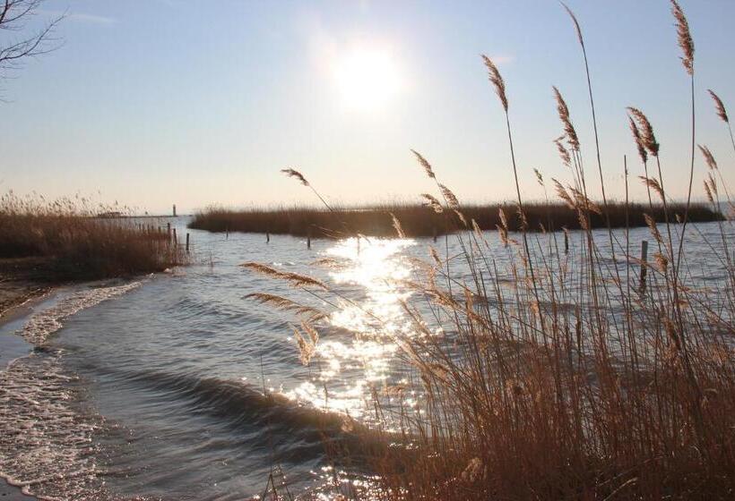 Bed and Breakfast Haus Renée