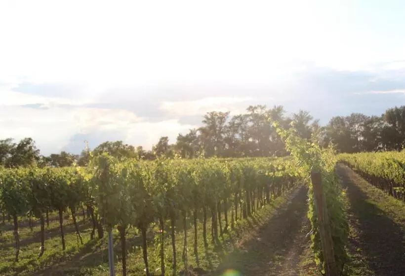 Aamiaismajoitus (B&B) Haus Renée