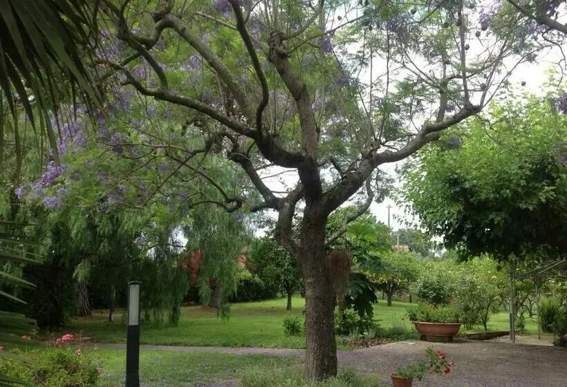 Aamiaismajoitus (B&B) La Quercia